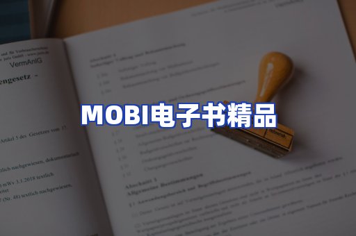 外文电子书产品